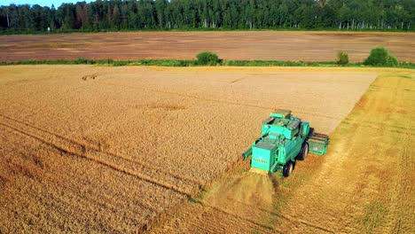 Cosechadora-Con-Trituradora-Cortando-Paja-De-Cereales-Maduros-En-El-Campo