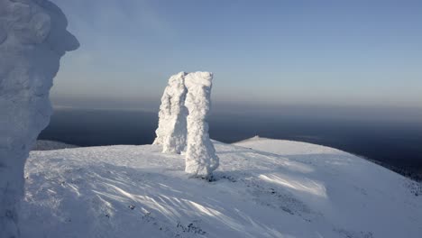 paisaje de montaña de invierno con árboles congelados