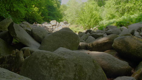 Felsenmeer-in-Odenwald-Sea-of-rocks-close-up-Wood-Nature-Tourism