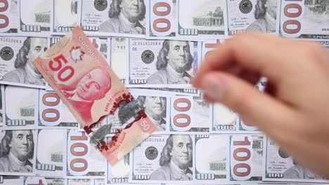 a person dropping canadian banknotes on a background with american dollars.