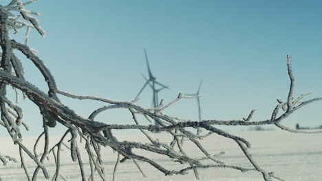 Rack-Fokus-Von-Gefrorenen-Ästen-Bis-Hin-Zu-Drehenden-Windkraftanlagen-In-Winterlandschaft