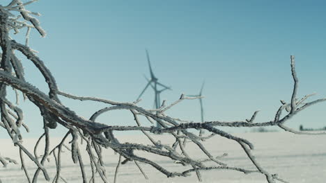 rack focus from frozen tree branch to spinning wind turbines in winter landscape