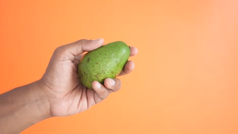 mano con un aguacate