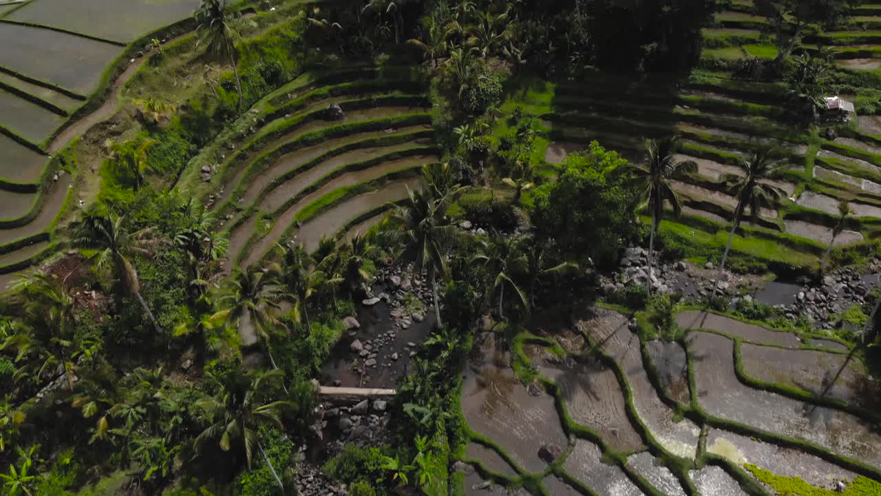 Luftaufnahme von überfluteten Reisfeldern, globale Landwirtschaft in Asien.