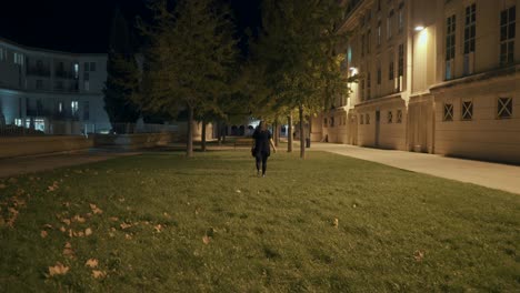 Chica-Está-Caminando-En-El-Prado-Por-La-Noche