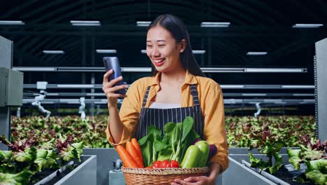 woman farmer using a smartphone in a greenhouse, checking on crops