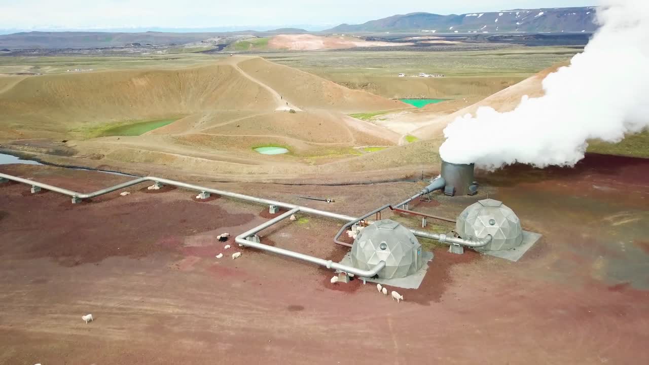 красивый снимок с дрона геотермальной зоны крафла в исландии с трубами, из которых валит пар, и овцами, греющимися на солнце 2