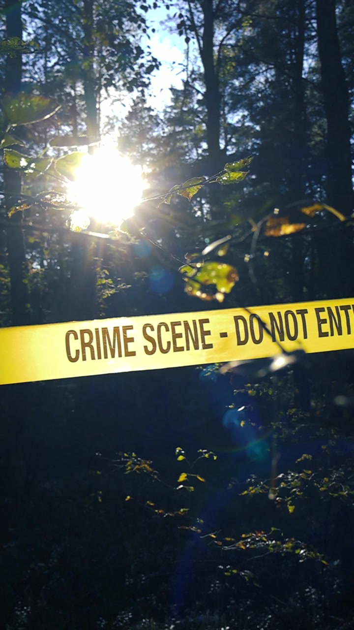 Yellow Crime Scene Do Not Enter tape cordoning off a section of a dark forest, with bright sunlight filtering through the trees and creating a lens flare in the background