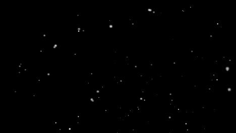 up to down small big snow falling. dense snowflakes in a snowstorm.