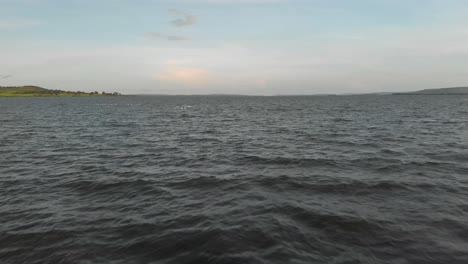 Aerial-shot-moving-fast-over-water-on-Lake-Victoria-as-a-flock-of-white-birds-fly-away-over-the-lake-in-the-distance