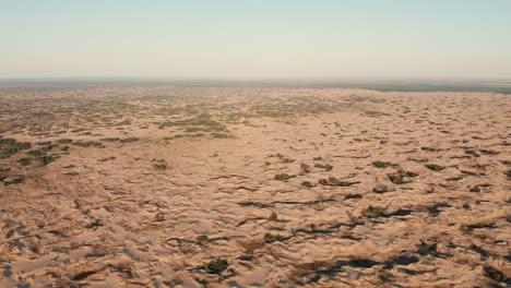 aerial view of a desert, sand dunes. texture of the surface of desert nature