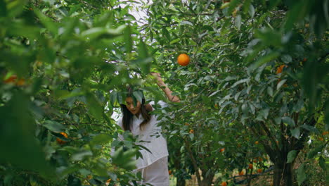 young lady walking citrus plantation alone. smiling woman stepping dense greens