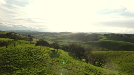 aerial view of horse galloping on beautiful rolling hills during golden hour