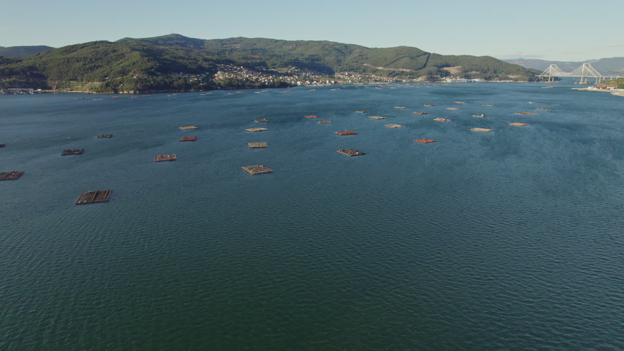 Aerial drone footage of La r&iacute;a of Vigo, the river of Vigo, in Galicia with a mussel farm lanscape, Mountains and a bridge in the background
