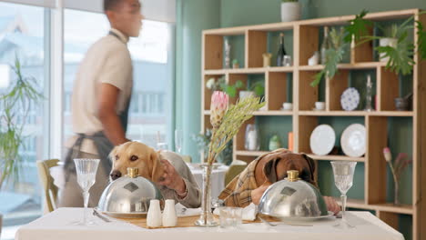 dogs at a restaurant