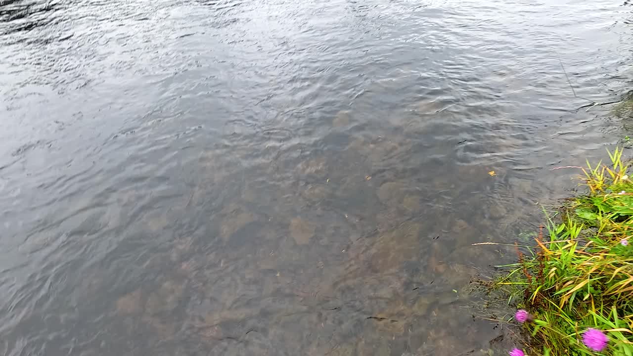 근처의 초록색과 함께 바위 위에 은 물