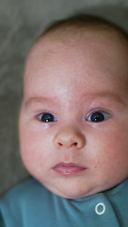 baby portrait