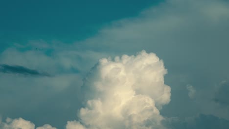 una hermosa toma panorámica de un pájaro volando debajo de una gran nube blanca en el cielo azul, israel oriente medio, toma de primer plano, cámara sin espejo sony, video 4k