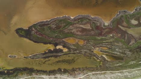vista aérea de un ecosistema de un lago salado