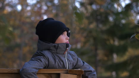 Young-hiker-boy-reaching-high-vantage-point,-looking-out-over-autumn-scenery