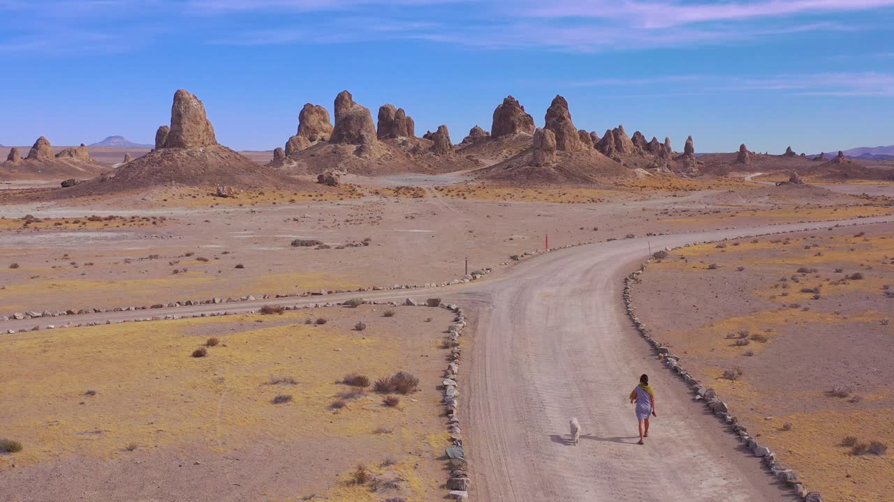 여자와 개는 죽음의 계곡 1 근처의 모하비 사막에 있는 트로나 첨탑 암석에서 비포장 도로를 걷고 있습니다.