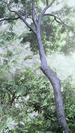 sunlight filtering through lush trees in a vibrant forest during the day