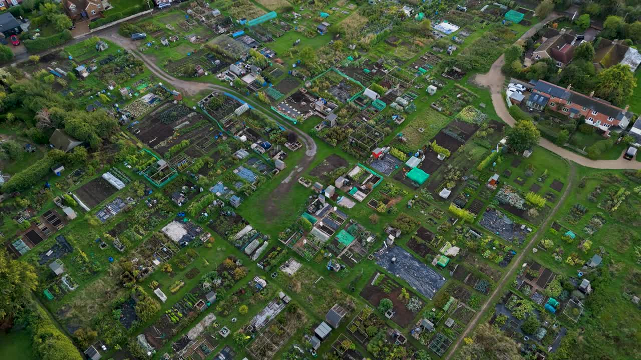 Drone aerial flyover of colorful garden allotments in Dorchester on Thames, Oxfordshire. Camera glides diagonally at 60°, revealing a patchwork of gardens, plots, and nature