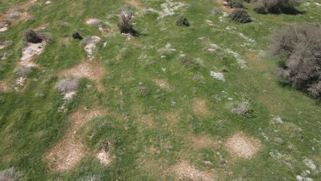 дрон-камера летает над национальным парком раудат-хураим