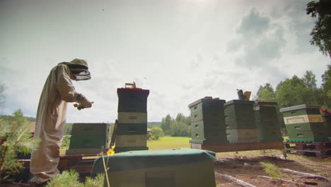 wide slomo of apiarist checking one of his hive frames with bees buzzing around