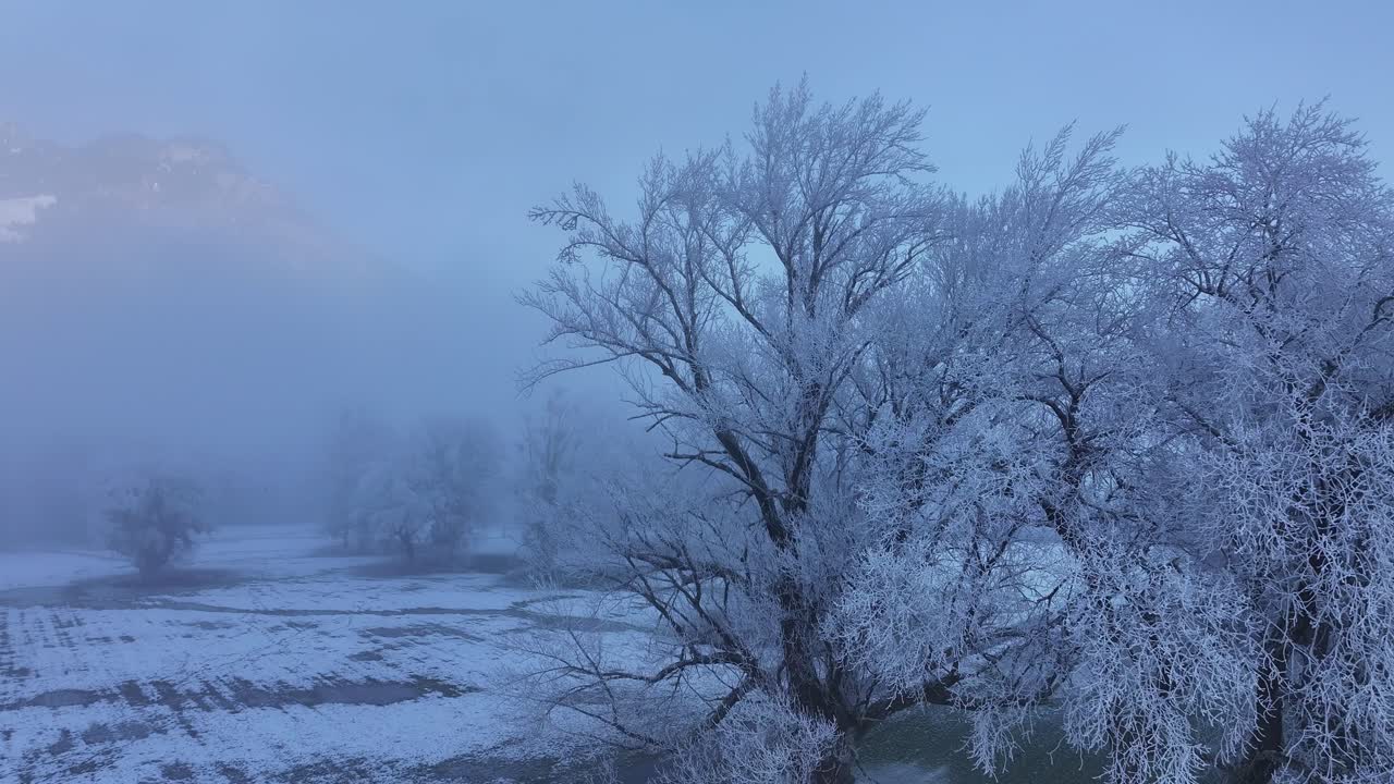 A winter wonderland near Walenstadt, Switzerland, with trees heavily laden with frost, creating a magical and ethereal scene.
