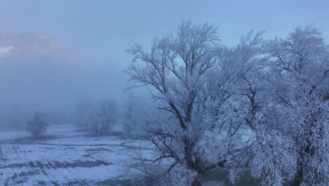 A winter wonderland near Walenstadt, Switzerland, with trees heavily laden with frost, creating a magical and ethereal scene.
