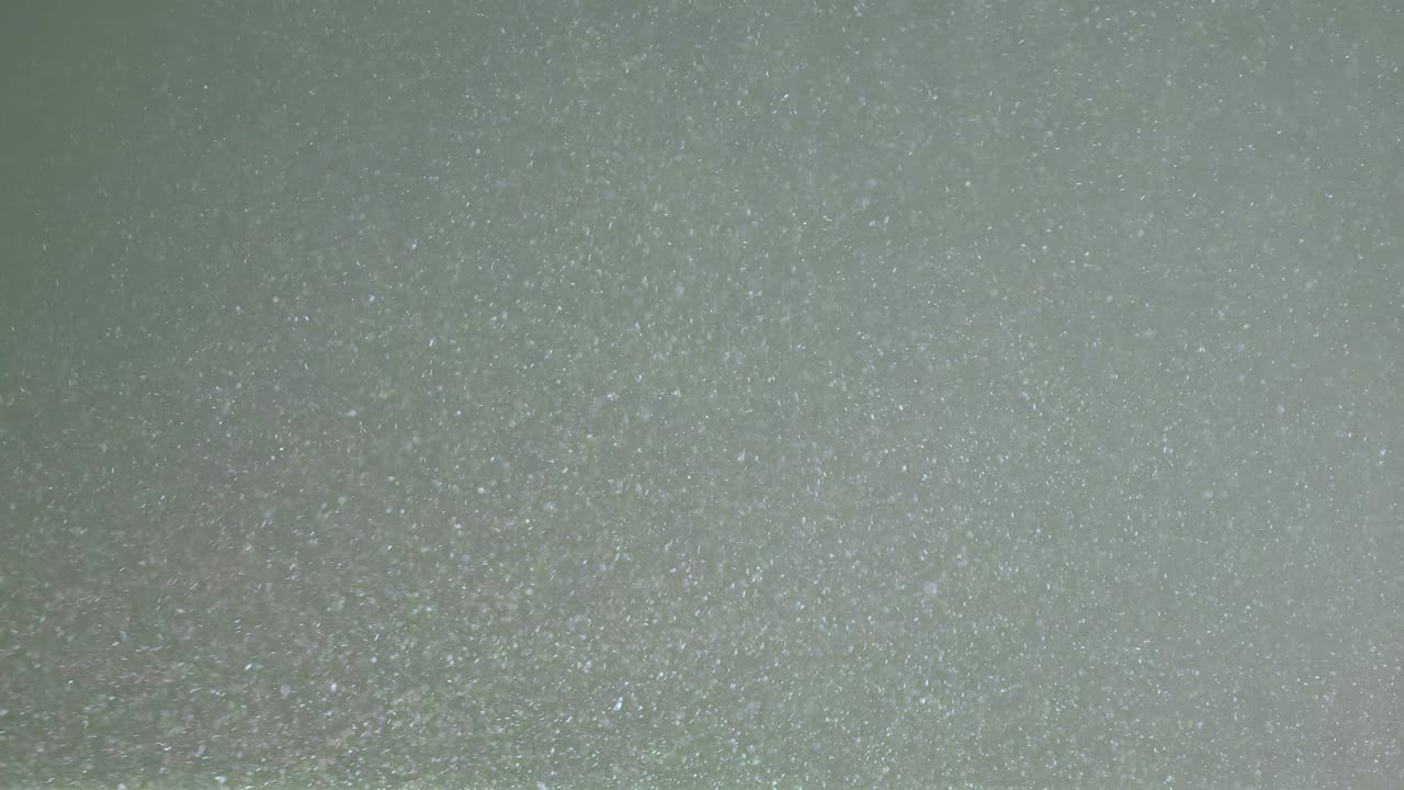 el movimiento de pequeñas partículas blancas. movimiento lento