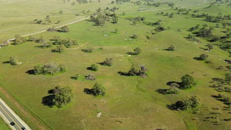 drone aerial over green countryside in the spring