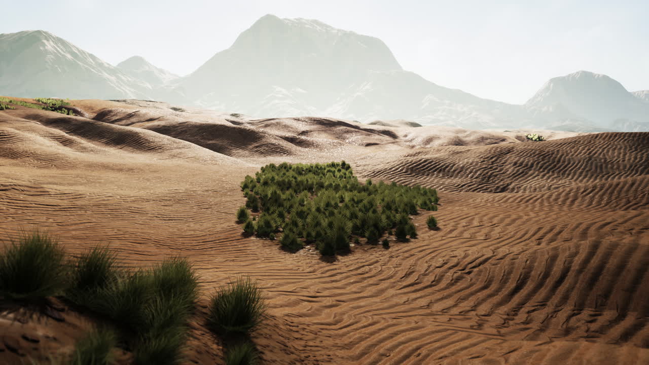 Paesaggio desertico con sfondo montuoso