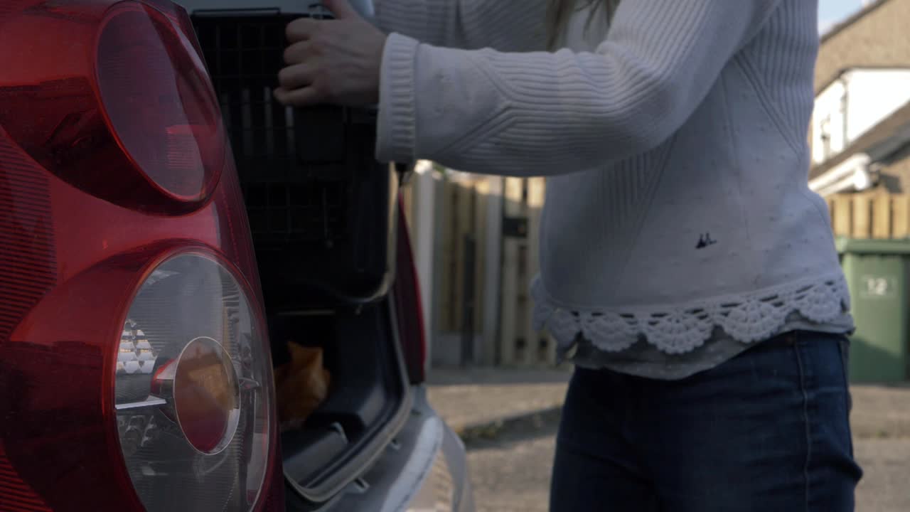 애완동물 캐리어를 자동차 부팅 중간 샷에 데려가는 여성