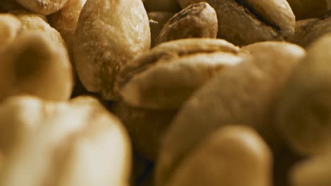 close-up of wheat grains