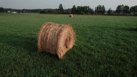 Hay-Bales-In-The-Field-4K-Footage-drone-aerial