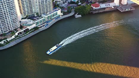 Vista-Aérea-De-Arriba-Hacia-Abajo-Toma-De-Seguimiento-Que-Captura-Un-Ferry-Urbano-De-Transporte-Público-Que-Navega-Por-El-Río-Brisbane