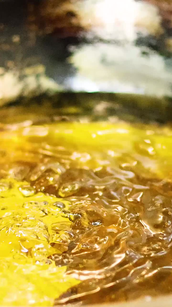 Food frying in hot oil in a pan
