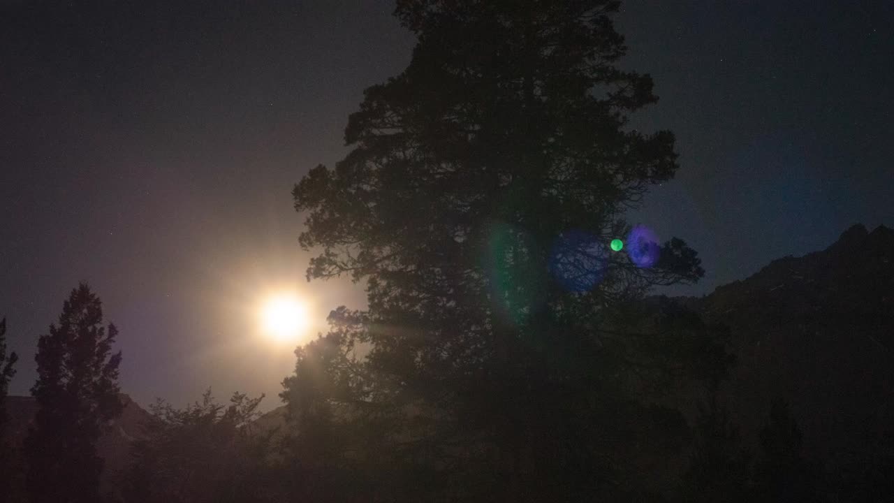 timelapse de la luna llena pasando detrás de un árbol y brillando como el sol, sobre el cerro piltriquitron en patagonia, argentina