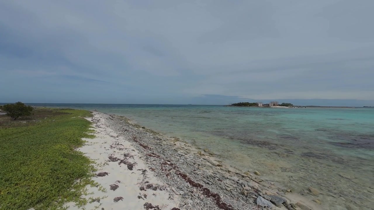 Vista grandangolare di una costa tropicale remota, che evidenzia la bellezza incontaminata della natura intatta con erba verde pirijillo e il calmo Mar dei Caraibi.