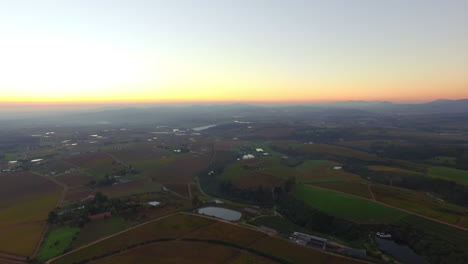 los viñedos en invierno