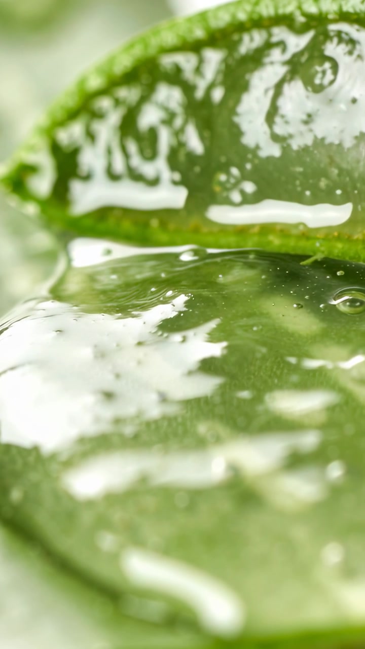 Vídeo vertical: Luz em movimento revelando gel de aloe fatiado em macro, mostrando bolhas e gotículas.