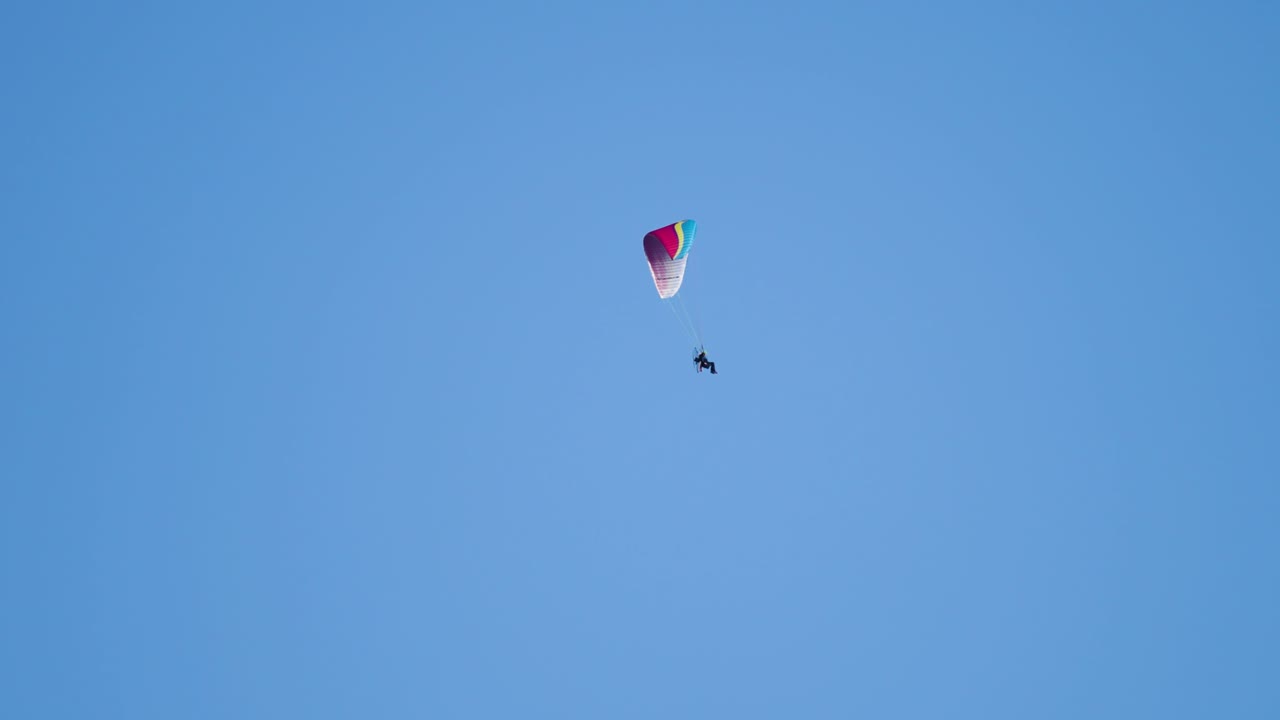 파라모터 글라이더가 파란 하늘을 날아다니고 나무 뒤에 사라집니다.