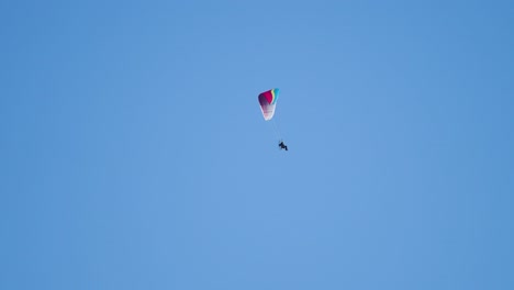 A-paramotor-glider-flies-in-the-blue-skies-and-then-disappears-behind-the-trees