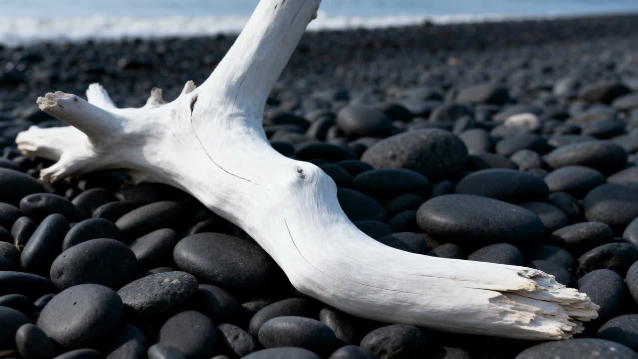 Bleget drivtømmer ligger i ro på en sort rullestensstrand ved vandkanten, hvor lave bølger får vandet til at glimte.