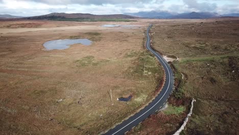 Luftaufnahme,-Irische-Landschaft-In-Connemara:-Straße,-Tannenwald-Und-Braune-Wiesen