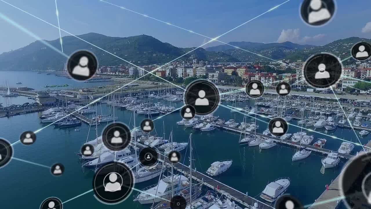 animación de redes de conexiones a través de muelles