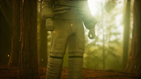 astronauta solitario en el bosque oscuro
