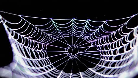 glowing spiderweb at night